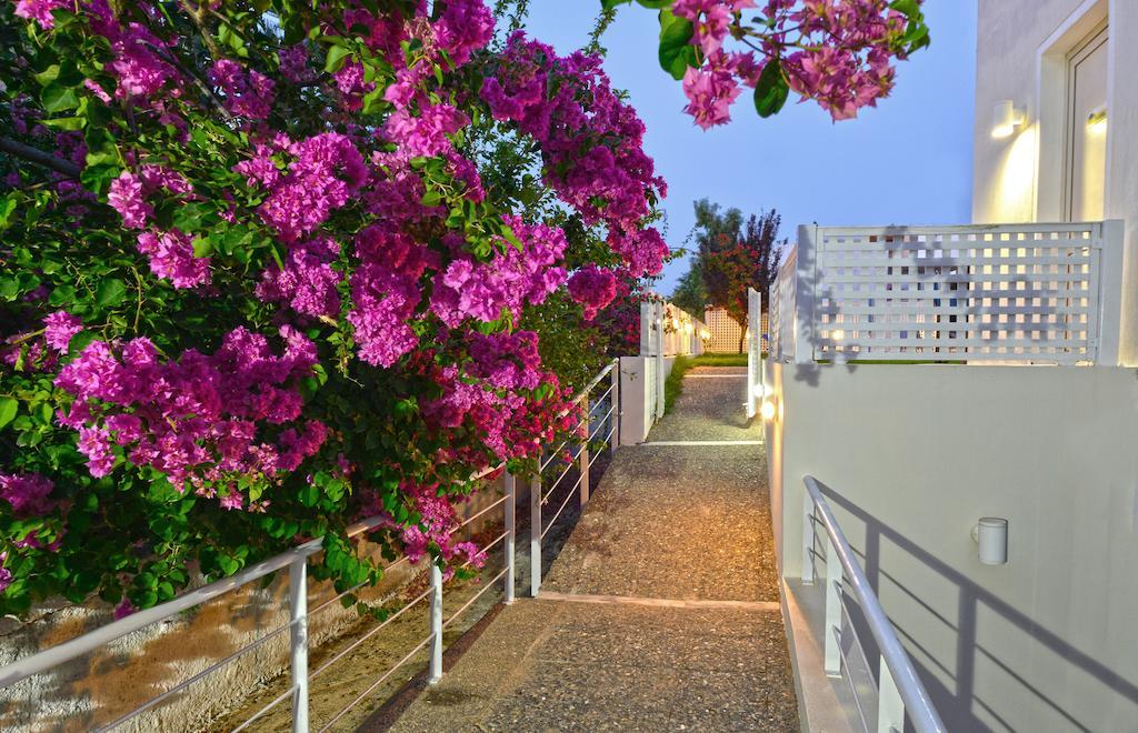 Oliv Apartments Platanes  Oda fotoğraf